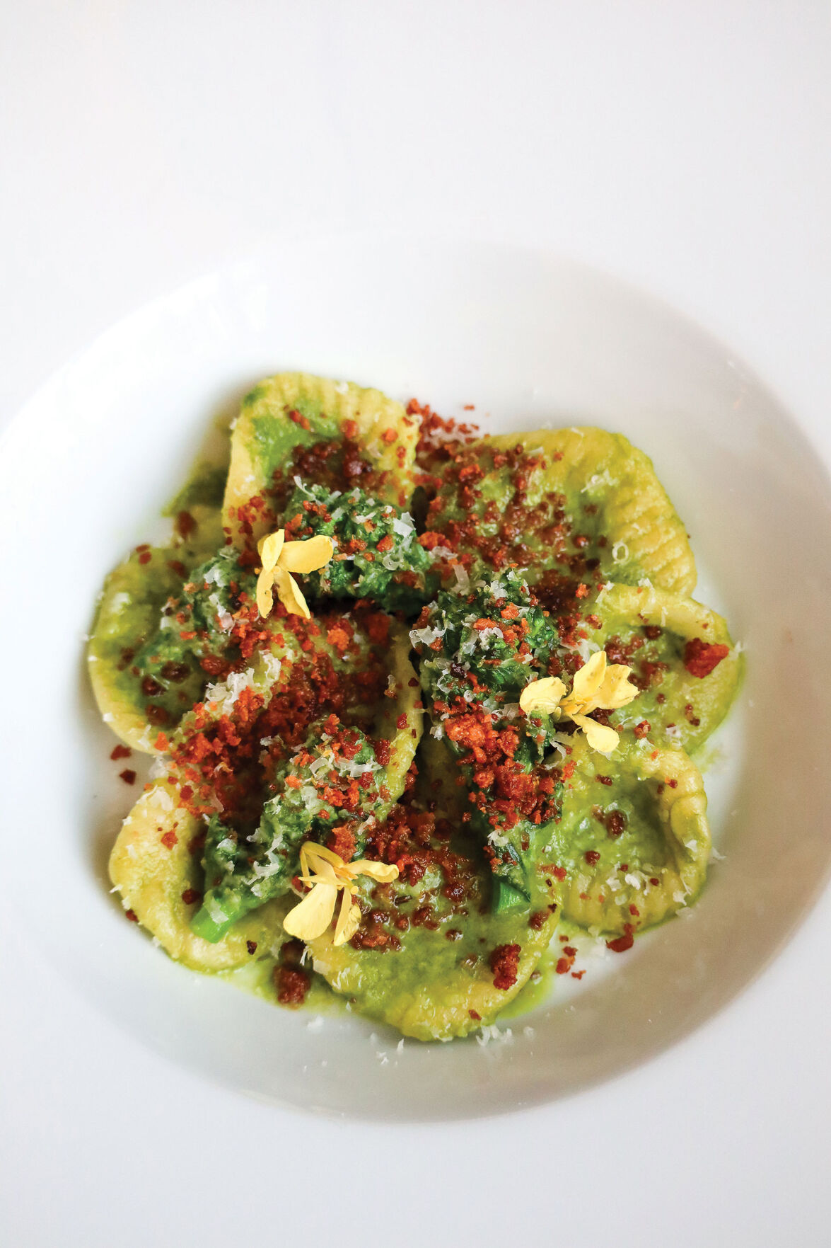 Yolan_Orecchiette_Spr22_IMG_6379-2.jpg